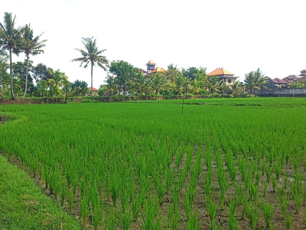 Rena House Ubud Exterior photo